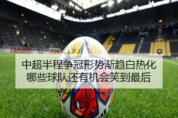 img_1780111418818_290_1_732.jpg